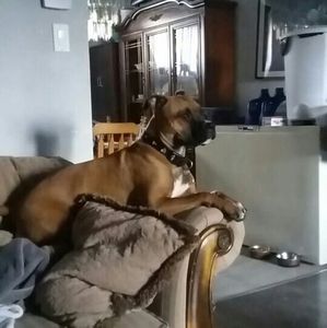 Meet your Posher, Vicky